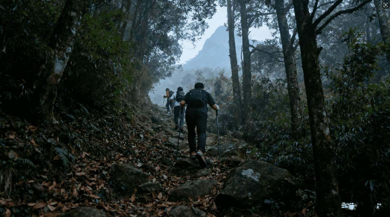 小火箭加速器免费版ios安全性与隐私保护解析